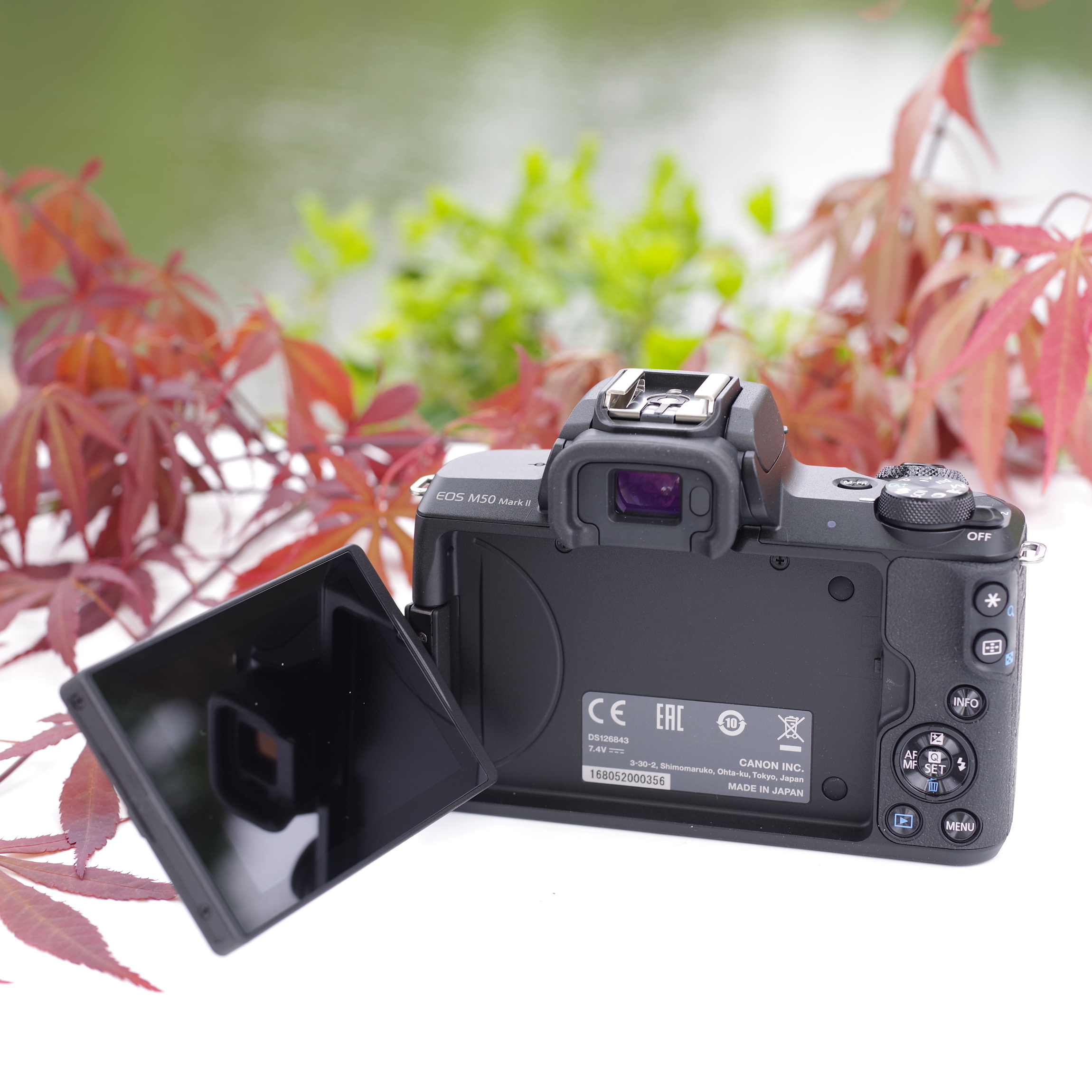 佳能EOS M50系列 轻装随行，摄影不仅是仪式，更是生活姿态