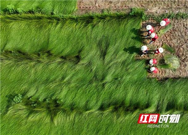 南华大学电气工程学院开展摄影服务活动 用镜头定格青春风采